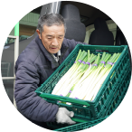 有限会社丸石青果