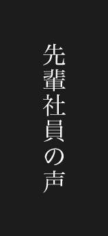 先輩社員の声
